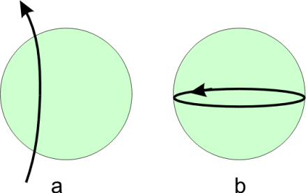 Champs poloïdaux (gauche) et champs toroïdaux (droit)